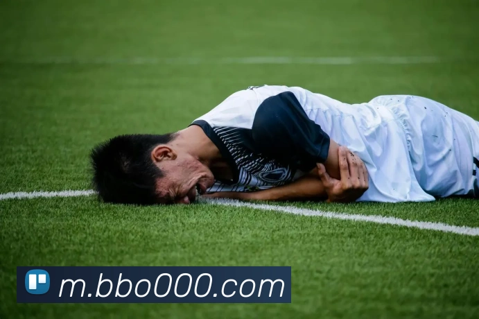 必博biboAPP 体育赛事宣传图